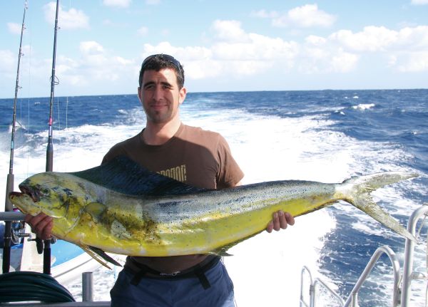 Tropical species heading south?